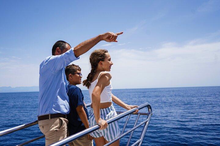 Dolphin Sightseeing Boat Tour from Benalmadena