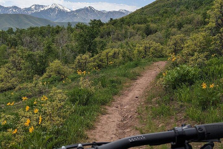 Tour in eBike in montagna