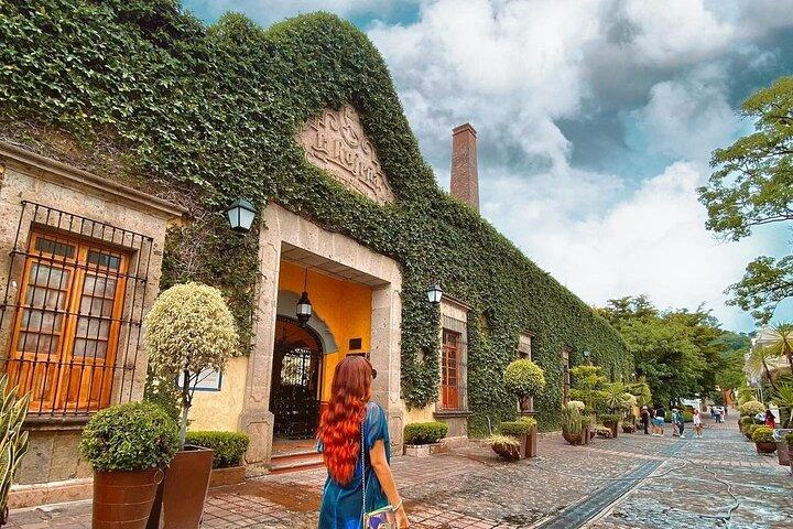 Visite privée d'une journée à Tequila Visiter Tequilera José Cuervo