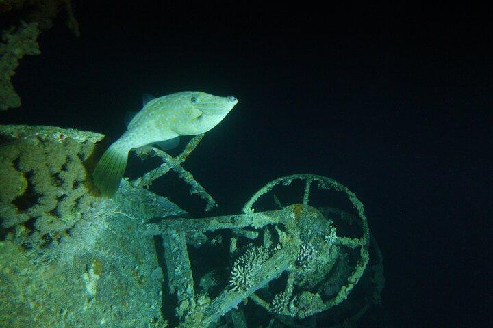 Plongée de nuit privée de 2 heures dans la mer Rouge d'Aqaba