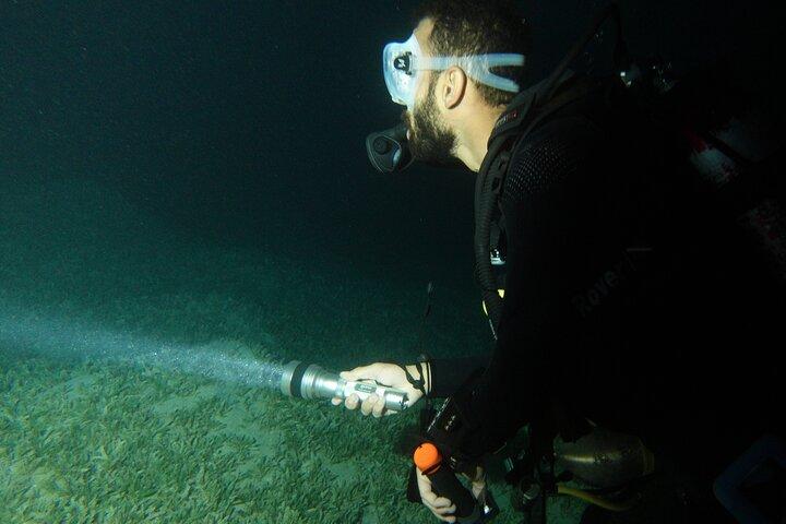 Plongée de nuit privée de 2 heures dans la mer Rouge d'Aqaba