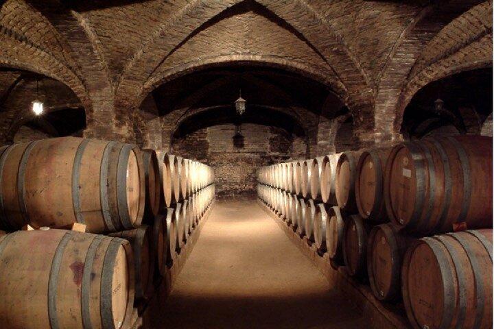Maipo Valley Top Wineries Tour privati e Degustazioni da Santiago