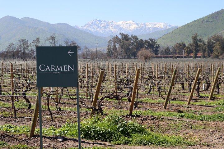 Maipo Valley Top Wineries Tour privati e Degustazioni da Santiago
