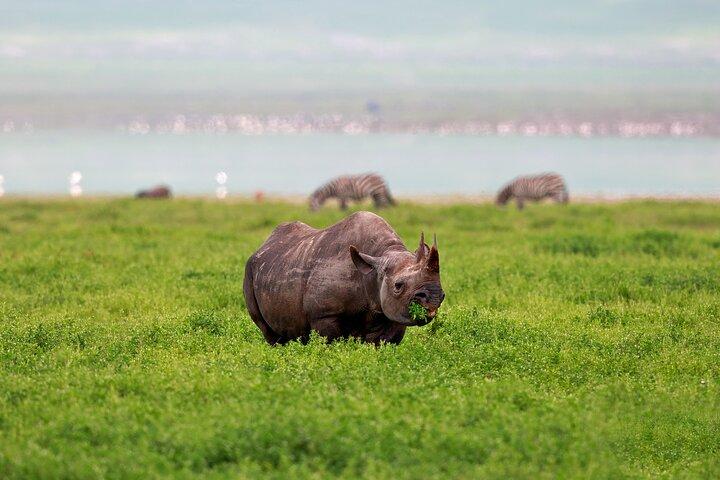 Tour de 2 días en el Parque Nacional del Lago Manyara y el cráter del Ngorongoro