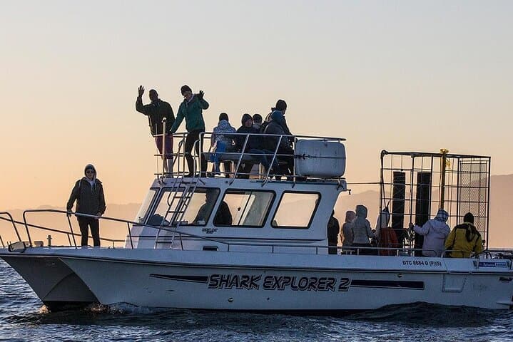 Shark Explorers