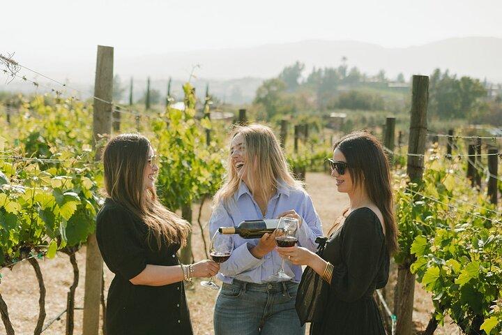Private Weintour von Ansell Tours