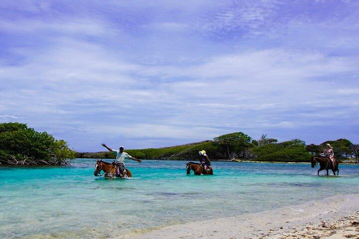 Safari en VTT et aventure à cheval à Mahogany Bay