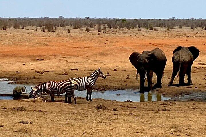 2 - Tag Tsavo East National Park Sentrim Camp.