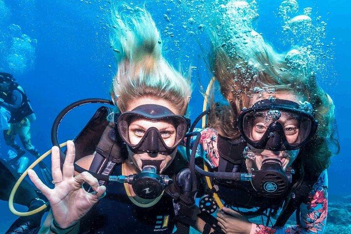 Experiência de mergulho em Bodrum com almoço e traslado de ida e volta
