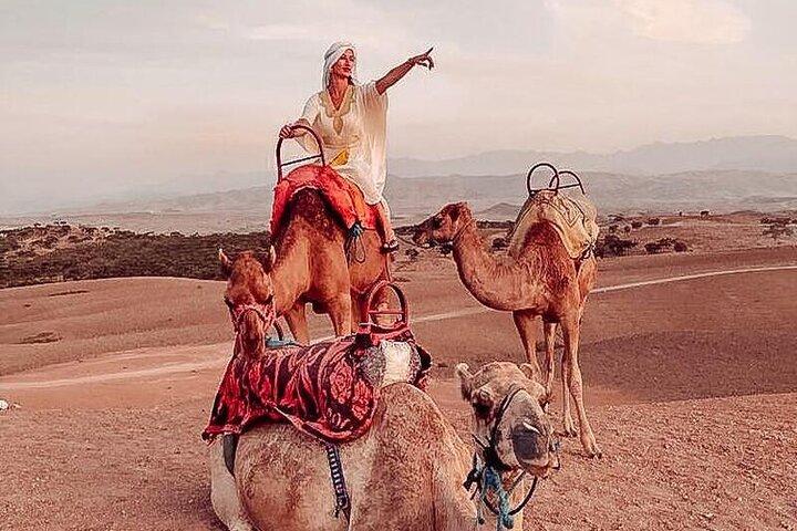 Nomad desert dinner camel ride & bonfire : Marrakech activity