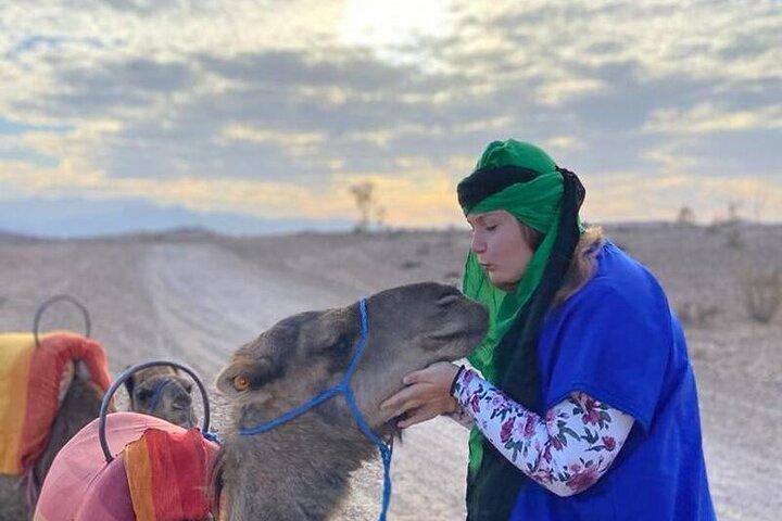 Nomad desert dinner camel ride & bonfire : Marrakech activity
