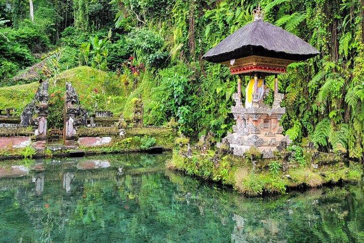 Aluguer de carro em Ubud com motorista: personalize sua viagem na área de Ubud
