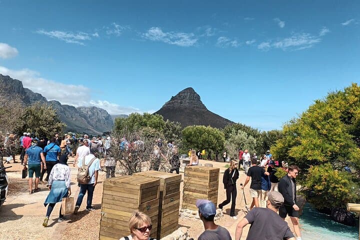 8-Hour Tour in Table Mountain Penguins and Cape of Good Hope