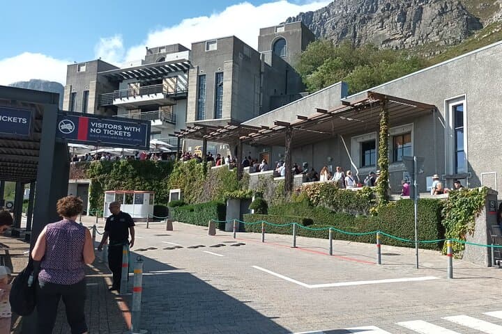 8-Hour Tour in Table Mountain Penguins and Cape of Good Hope