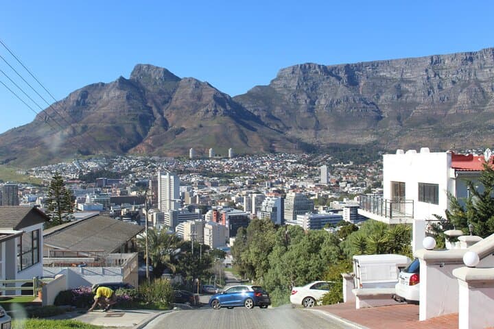 8-Hour Tour in Table Mountain Penguins and Cape of Good Hope