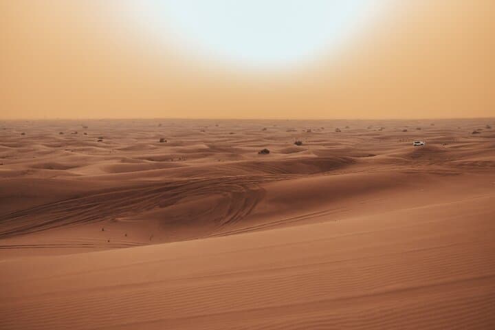 Deluxe Sunset Desert Safari: SandSurfing, Camel Ride & BBQ dinner