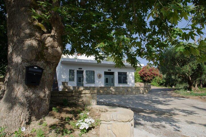 Vinsmagning: Mød den kretensiske vingård i det vestlige Chania