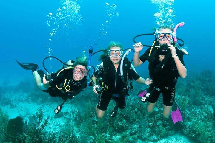 Tauchen in Hurghada _ 2 Stops Tauchen mit Ausrüstung & Mittagessen