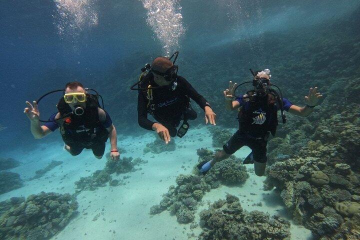 Tauchen in Hurghada _ 2 Stops Tauchen mit Ausrüstung & Mittagessen