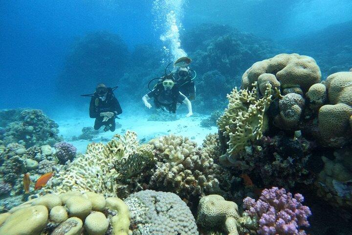 Tauchen in Hurghada _ 2 Stops Tauchen mit Ausrüstung & Mittagessen