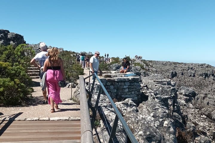 Table Mountain Cape Of Good Hope & Penguins Tour Shared Full Day