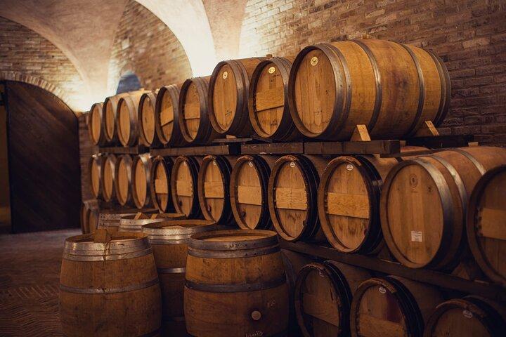 1h30m Dégustation de vins et visite du Val D'Orcia