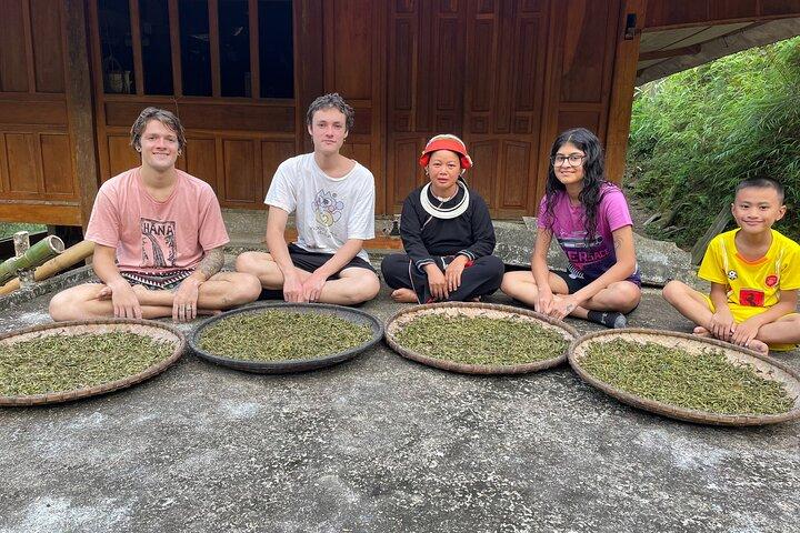 Ha Giang Bikki's Jungle-homestay