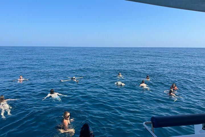 Benagil Caves & Coast da Portimão su un catamarano ecologico