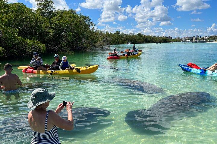 Noleggio kayak e SUP - Big Hickory Island - Fort Myers Beach, FL