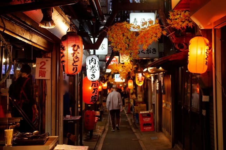 The Dark Side of Tokyo - Night Walking Tour Shinjuku Kabukicho