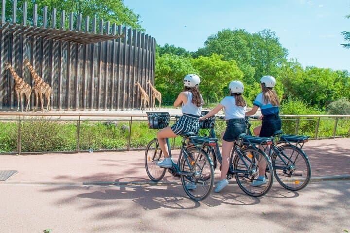 E-bike Tour by ComhiC - The Highlights - 3h
