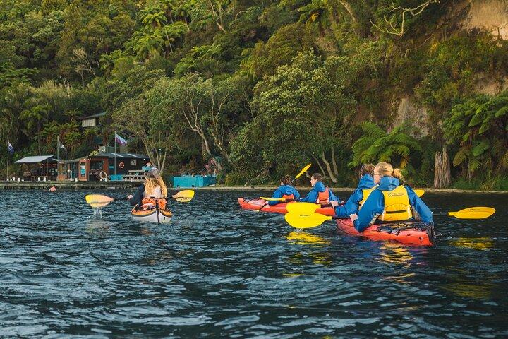 Rotorua: Aften Starlight Gourmet Kajak Tour Glowworms