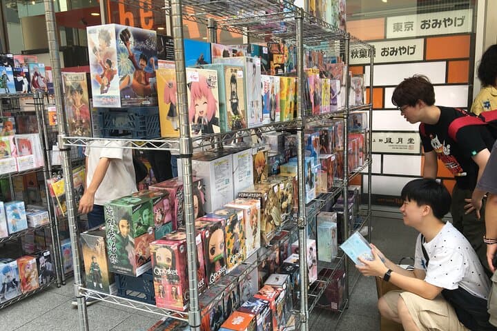Private Akihabara Anime Guided Walking Tour