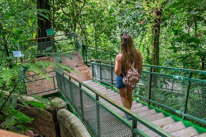 Full Combo! Hanging Bridges, Arenal Volcano, La Fortuna Waterfall