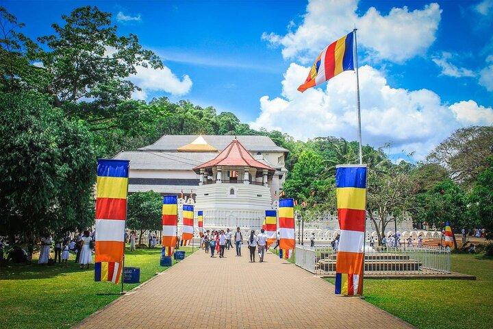 Private 8 Day Colombo Tour with Guide and Private Transportation