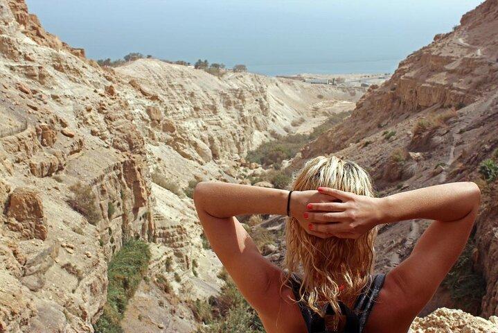 Tel Aviv Gateway Masada, Ein Gedi Oasis och Dead Sea Private Tour