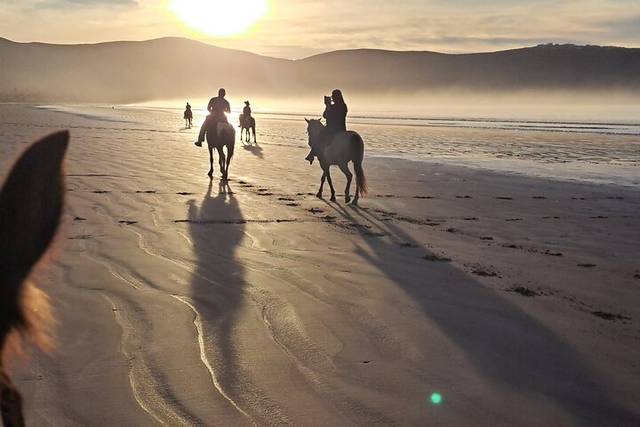 Beach Rides