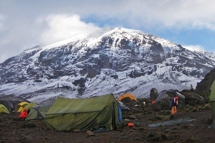 7 Day Kilimanjaro Climbing Via Lemosho Route