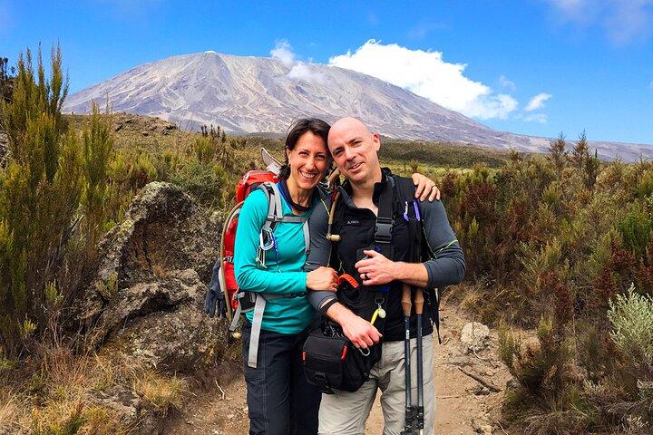 Heldagsvandretur til Mandara Hut i Kilimanjaro