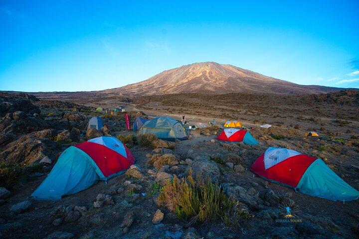 8-dages Kilimanjaro-vandring via Lemosho-ruten