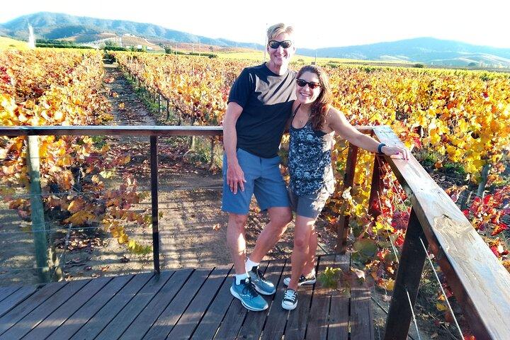 Casablanca Valley & Casa del Bosque - 3 Vineyards - Full day