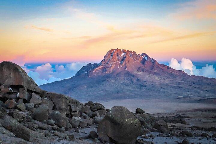 6-dages privat Machame-rutetur med Kilimanjaro-klatring