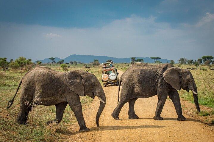 6 dagars safari-Tarangire, Serengeti och Ngorongoro-kratern