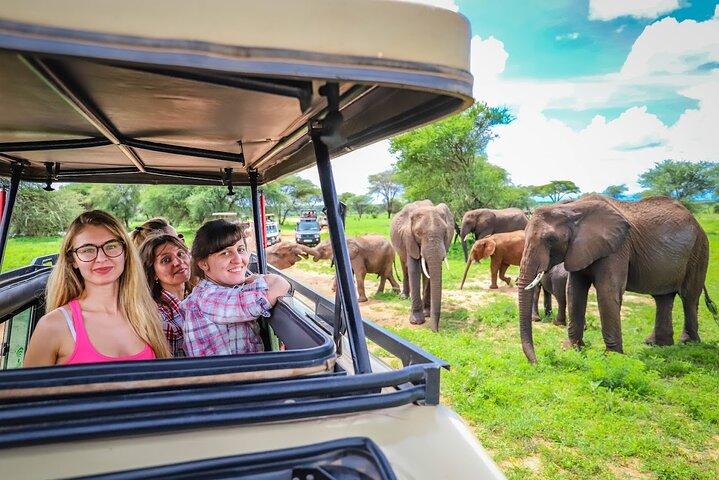 3 dagars privat smak av Tanzania Wilderness Safari-Camping Safari