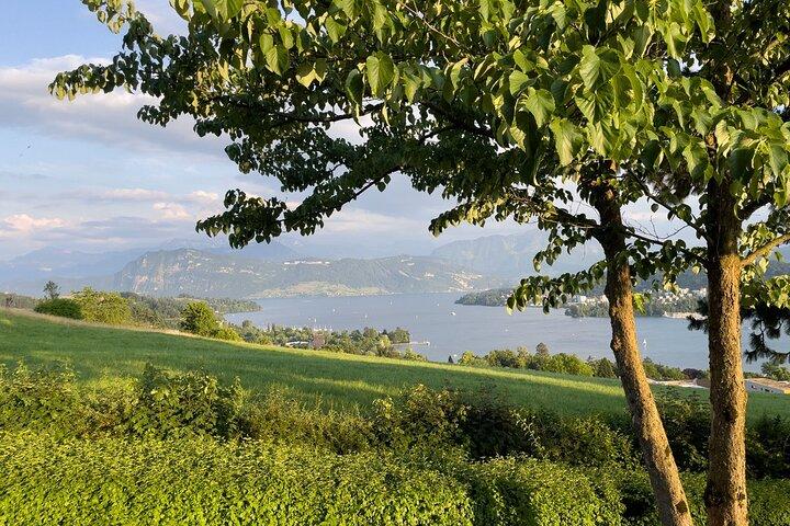 Privat Luzern-udsigt og fotovandring