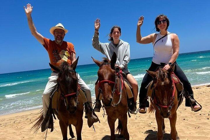 Beach Sunset Horseback Ride i Punta Cana