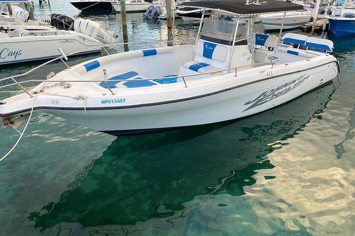 Visite privée de Pigs Beach, Green Turtle Cay et Rose Island