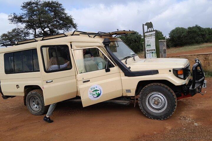 3 Tage 2 Nächte Private Tour durch die Masai Mara