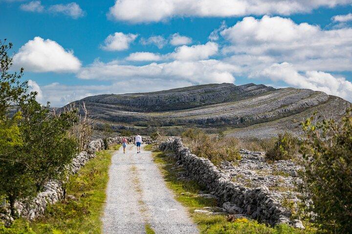 Dublin para Cliffs of Moher e Galway City Private Tour de carro
