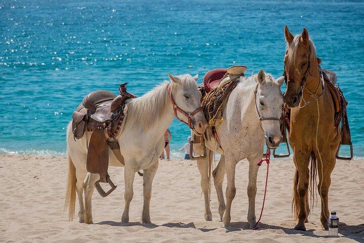 Beach Horse Riding Adventure em Punta Cana